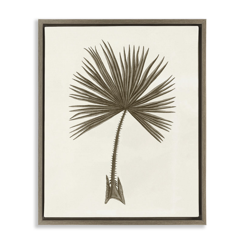 Étude rétro de cadre flottant feuille de palmier, design par Phillipa Katz, H 31 po x l 25 po, Cadre flottant orme Montalcino