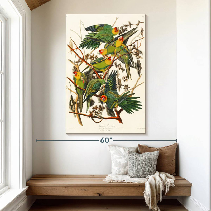 Brampt Carolina Parakeet, 51" H x 34" W