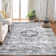 Sesario Washable Indoor Rug
