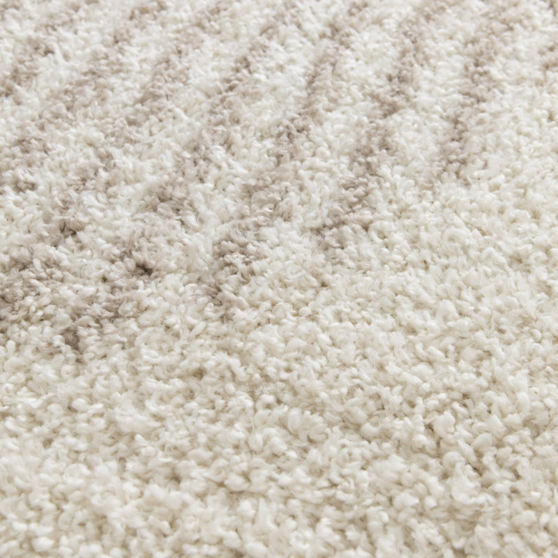 Dedman Shag 160cm X 230cm Area Rug