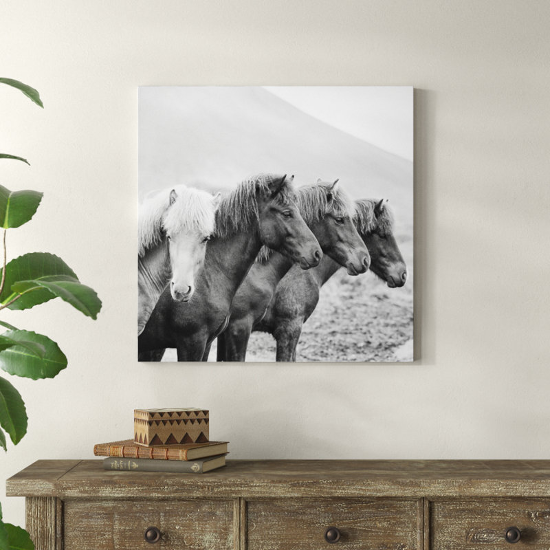 B And W Horses IX by PHBurchett - Wrapped Canvas Print, 76cm H x 76cm W