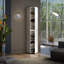 Deshawnna 24 Pair Shoe Storage Cabinet