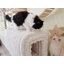 Banc de rangement repose-pieds pour animaux de compagnie Banc en velours côtelé Nid de chat à cacher pour le salon, le vestibule et la chambre à coucher-710463001