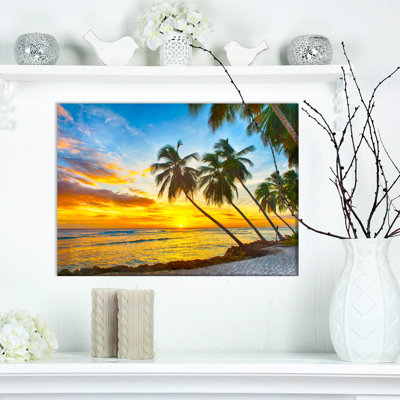 " Palm Tree At The Beach "