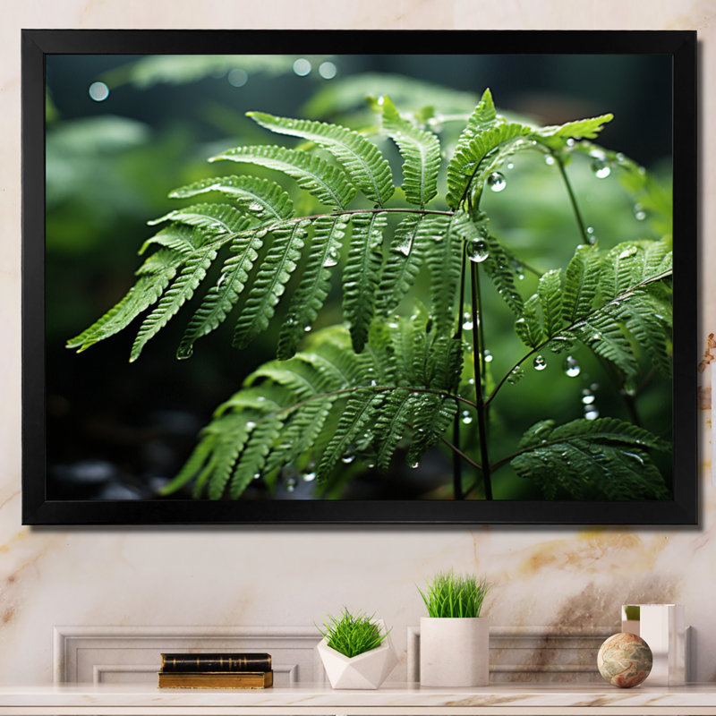 Fougères en gros plan - Photo V, 30" H x 40" W, Black Picture Framed