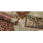 Tapis oriental en laine touffeté à la main taupe / beige / brun Gurusharan-1178613022