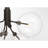 Oshri 6-Light Chandelier in Oil Rubbed Bronze-122570613
