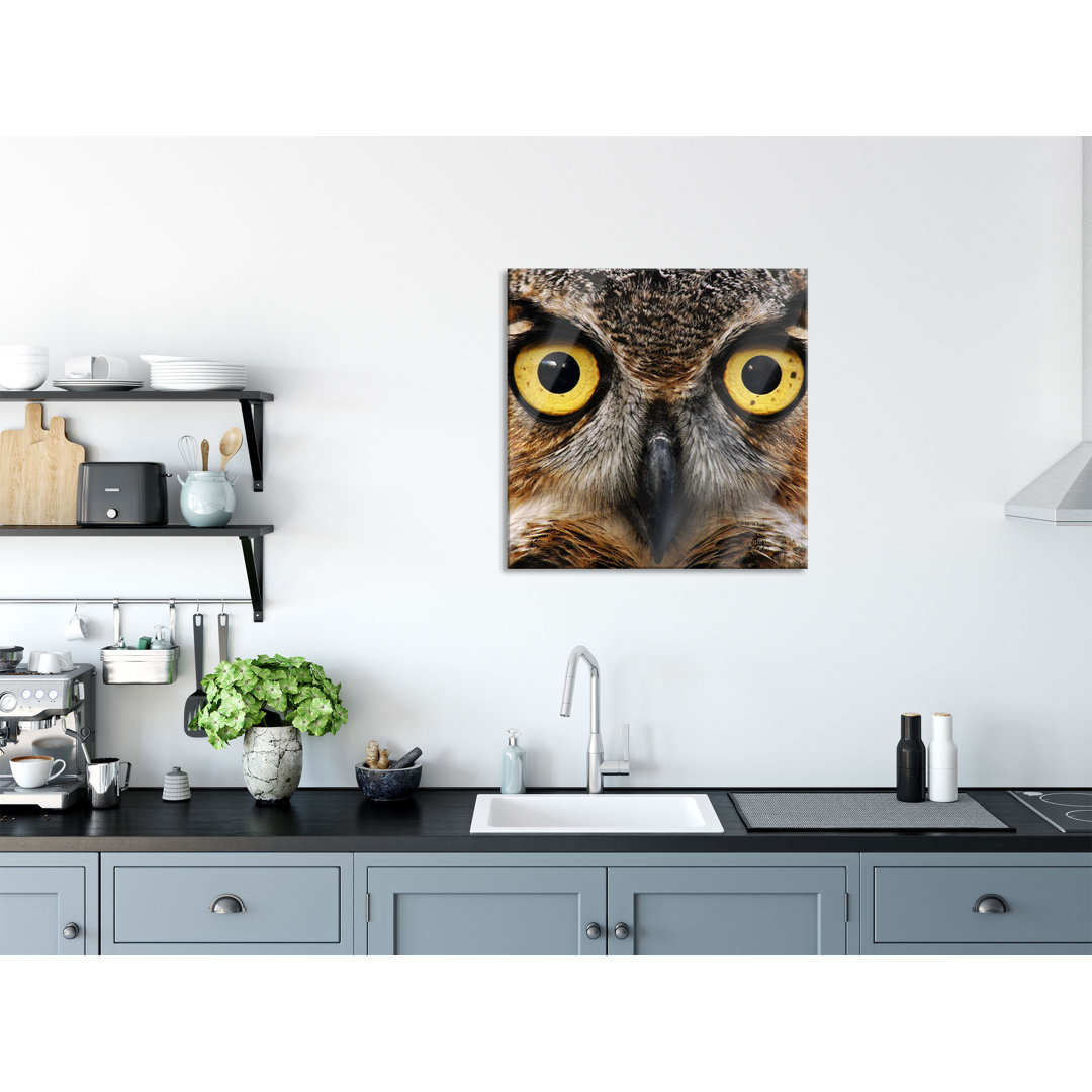 Glasbild Alert Owl