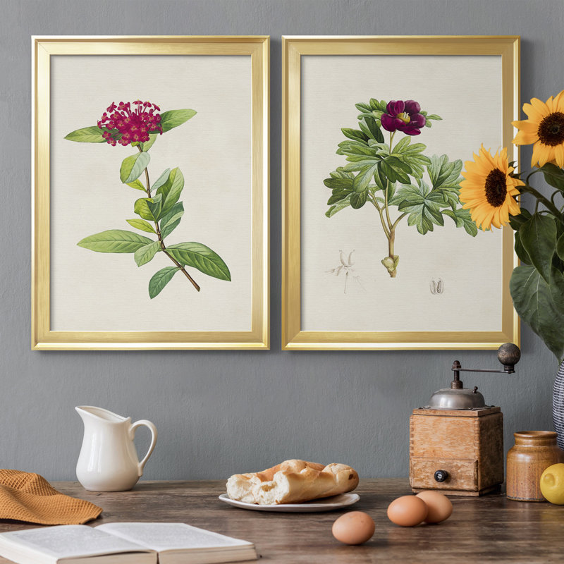 «Pretty Pink Botanicals II», ensemble de 2 impressions sur toile encadrées, H 30,5 po x l 22,5 po x P 1,25 po, Cadre doré