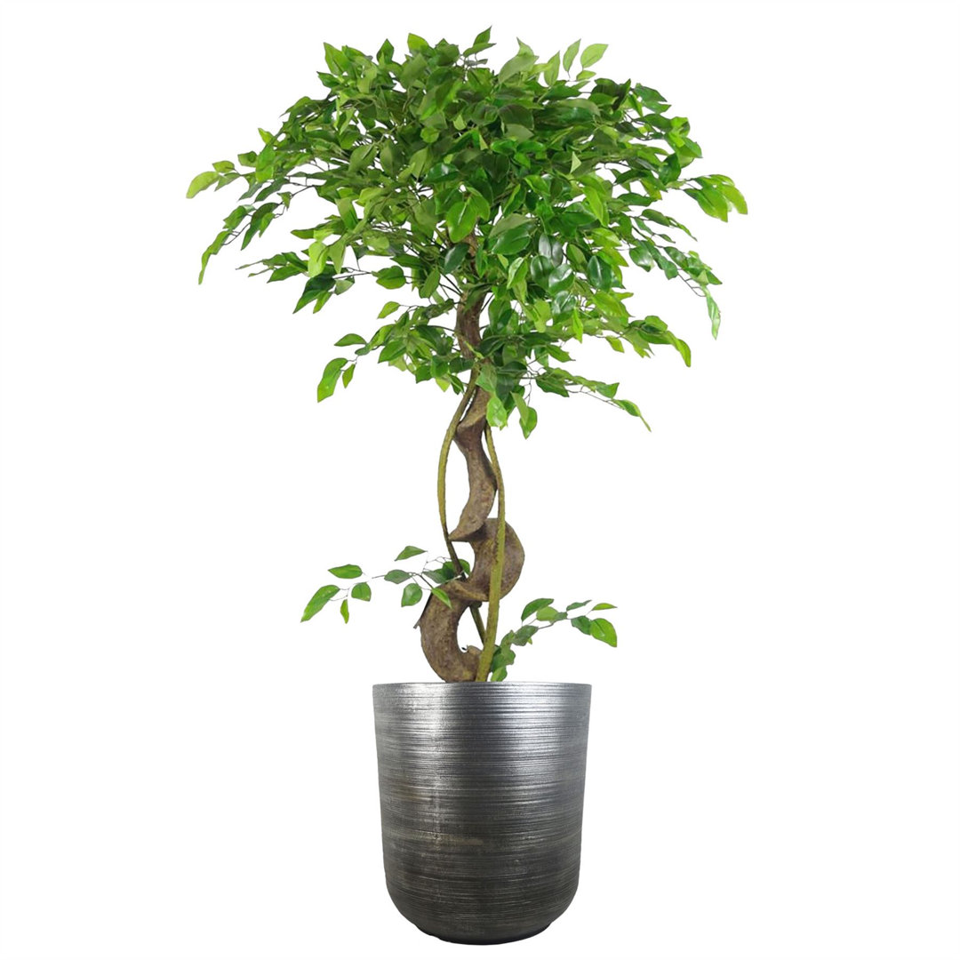 Coya Planters Handmade Pot Planter