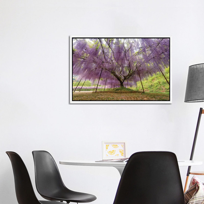 Spring In Japan XXII by Daisuke Uematsu - Print on Canvas, White Framed, 66.04cm H x 101.6cm W x 3.81cm D