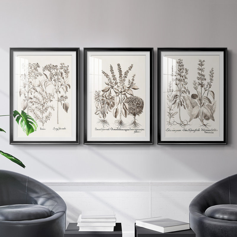 Sépia Besler Botanicals I - ensemble de 3 reproductions de cadres photo, H 61 po x l 42,5 po x P 2,5 po, Cadre noir