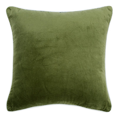 Velvet Throw Pillow