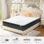 Bosten Brayden Studio Pocket Sprung Mattress-1358906243
