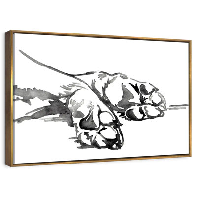 Linear Paws I