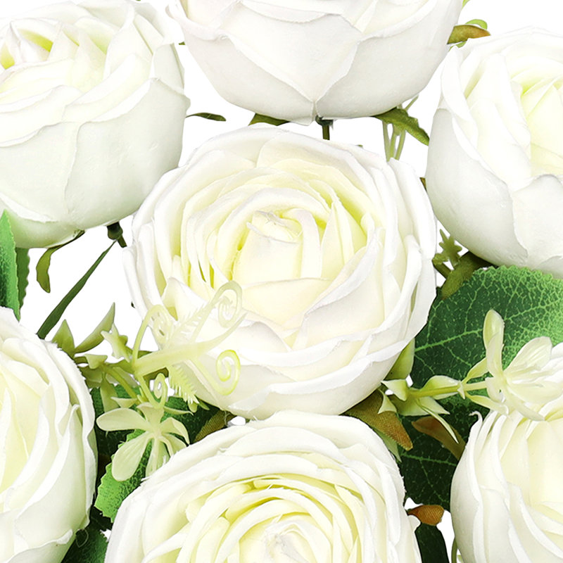 Rosiers Torres, Blanc crème