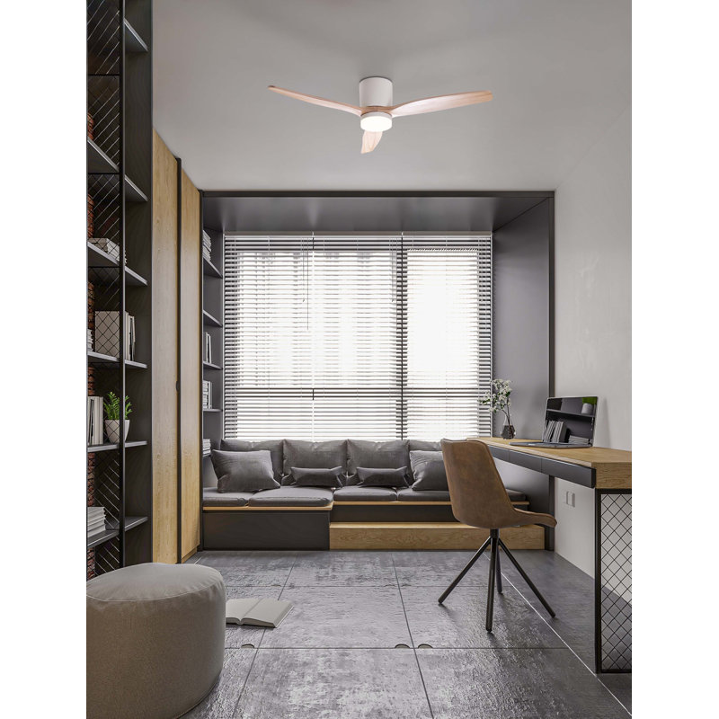 Ceiling Fan
