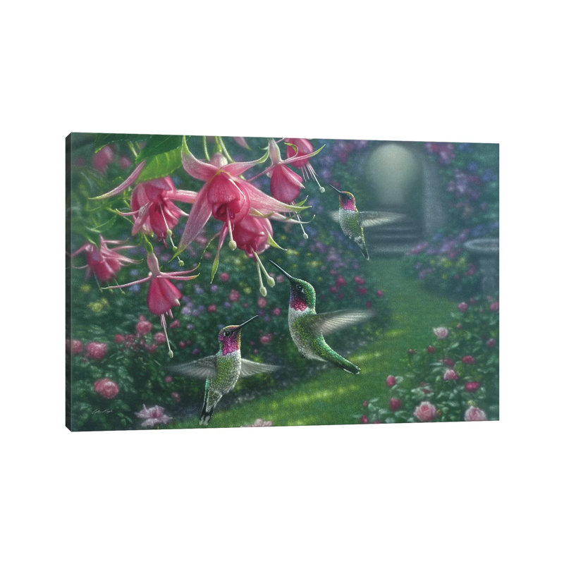 «Hummingbird Haven, Horizontal» par Collin Bogle - impression d'art graphique, H 32 po x l 48 po x 1,5 po, Pas de tapis