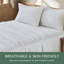 Ensemble de draps 100% coton-117984942-102832030