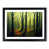 Black Framed selected