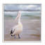 Pelican Walk Bird Portrait, estampe numérique, conception de Kim Allen-114341670-114341674