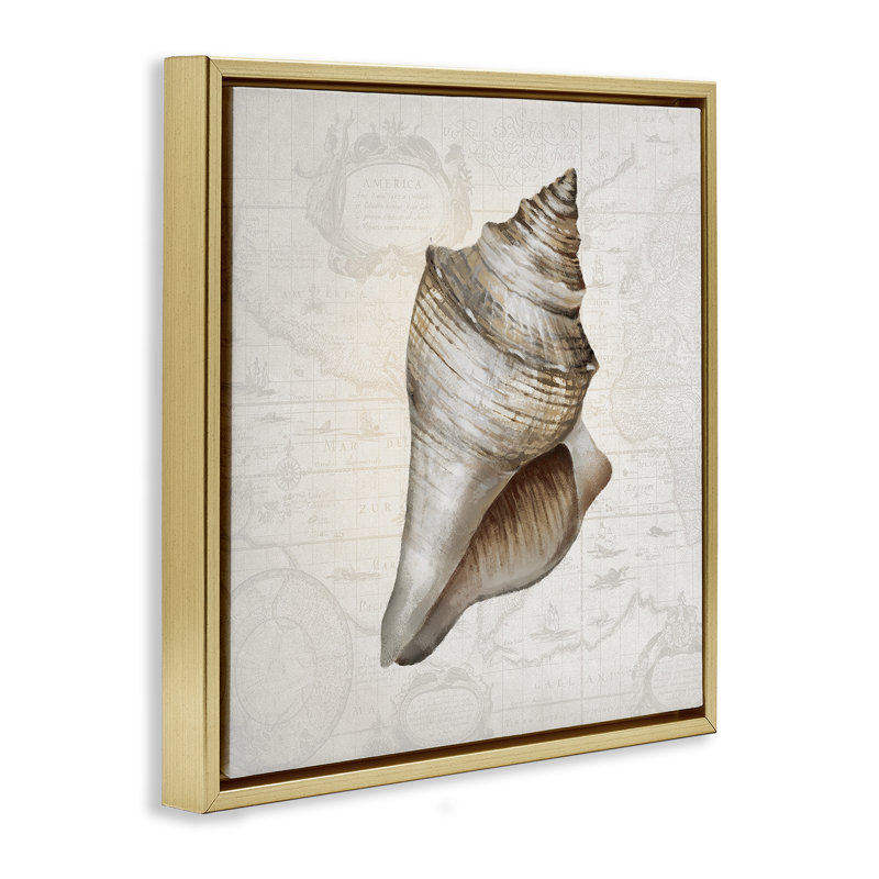 Coquille de conque sur cadre flottant de carte rétro, design par Conrad Knutsen, H 25 po x l 25 po