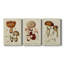 Mushroom Variétés I - Toile tendue avec châssis de qualité supérieure - prête à être accrochée-1158781041