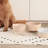 Uplift Ceramic Dog Bowl-98453153-98453156