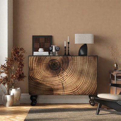 Armoire de rangement élégante à deux portes