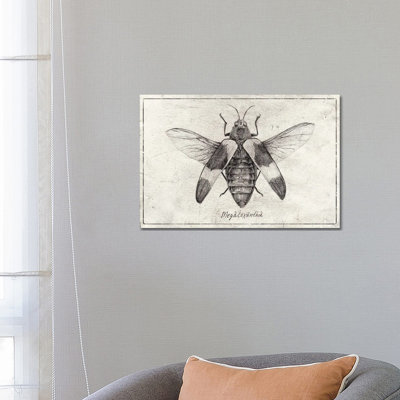 Megaloxanthia by Mike Koubou - Wrapped Canvas Gallery-Wrapped Canvas Giclée