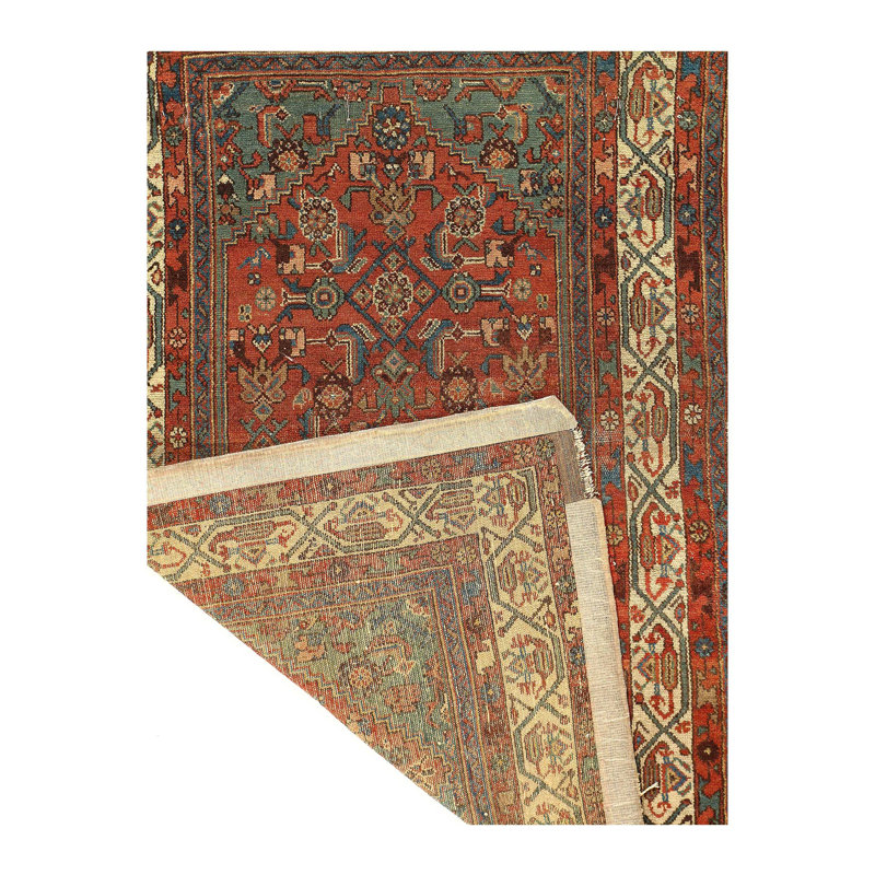 Mehroo Oriental Area Rug in Rust