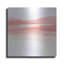 Brayden Studio «Tint Cantaloup I» par Chris Paschke, art mural en métal-541514793