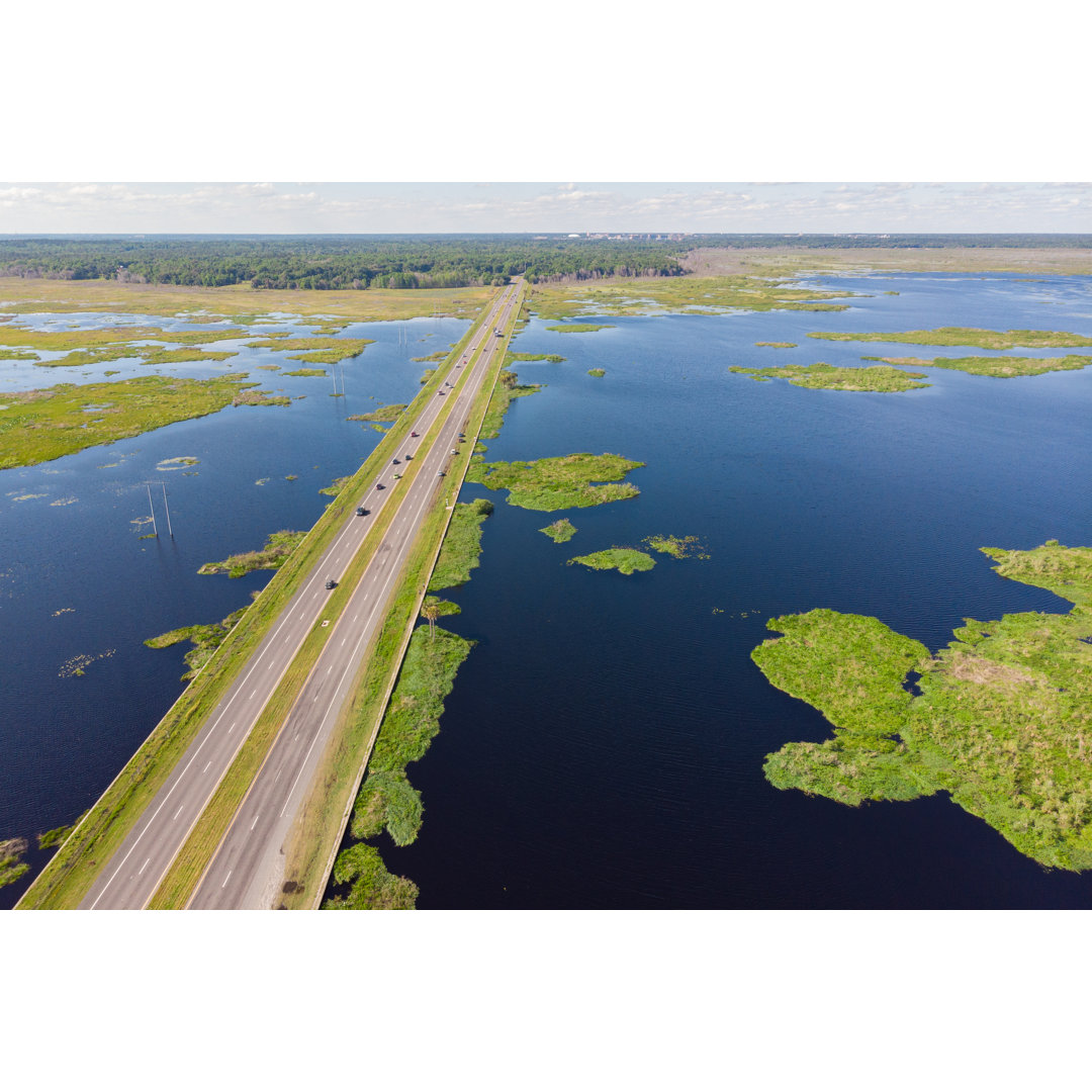 Paynes Prairie Gainesville - Leinwandbild