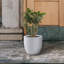 Pot à fleurs en béton Karola-1980124786-1974299891