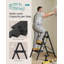 Steel Step Ladder