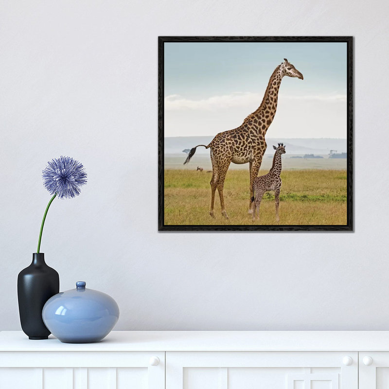 Colour Giraffe & Calf by Klaus Tiedge - Print on Canvas, 45.72 cm H x 45.72 cm W, Black Framed