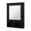 Armoire à pharmacie Poston avec porte et miroir inclus-1632098303