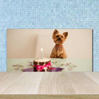Lucele 50cm W x 100cm L Glass Peel and Stick Panel