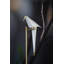 Perch LED Floor Lamp