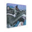 «Cat and Dog Sleeping» par Nadi Spencer sur toile-589322473-589322472