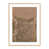 Papier photo brun clair encadré