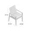 Ashland Patio Dining Armchair with Cushions-765605461-750875538-749763211