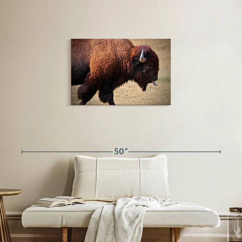 Tongue Wagging Bison, 20" H x 30" W