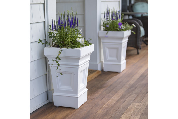 A pair of white column-shaped box planters with purple flowers to either side of doorway.