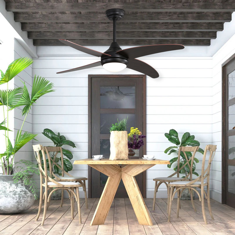 Ceiling Fan with LED Lights