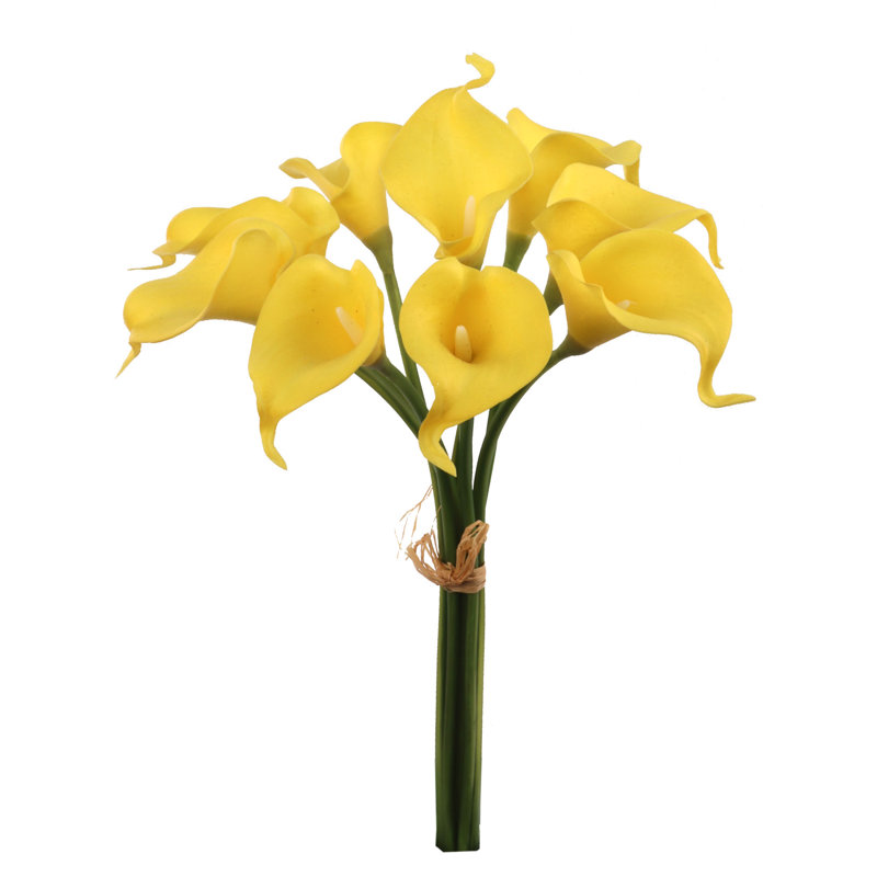 Tige de lys, Jaune, 1