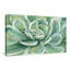 «Succulent» par Marilyn Dunlap - Peinture-64743355-64743352
