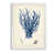 Cadre de toile blanc