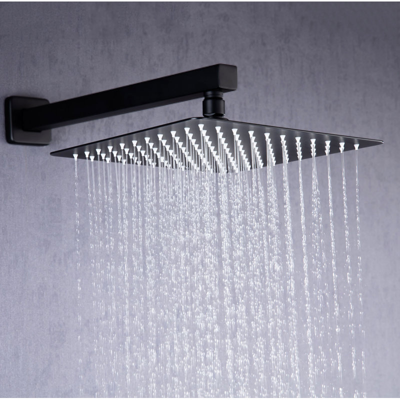 Pomme de douche fixe Rain, Noir mat