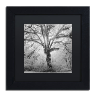 «Lightning Tree II» par Moises Levy - reproduction de photo sur toile encadrée